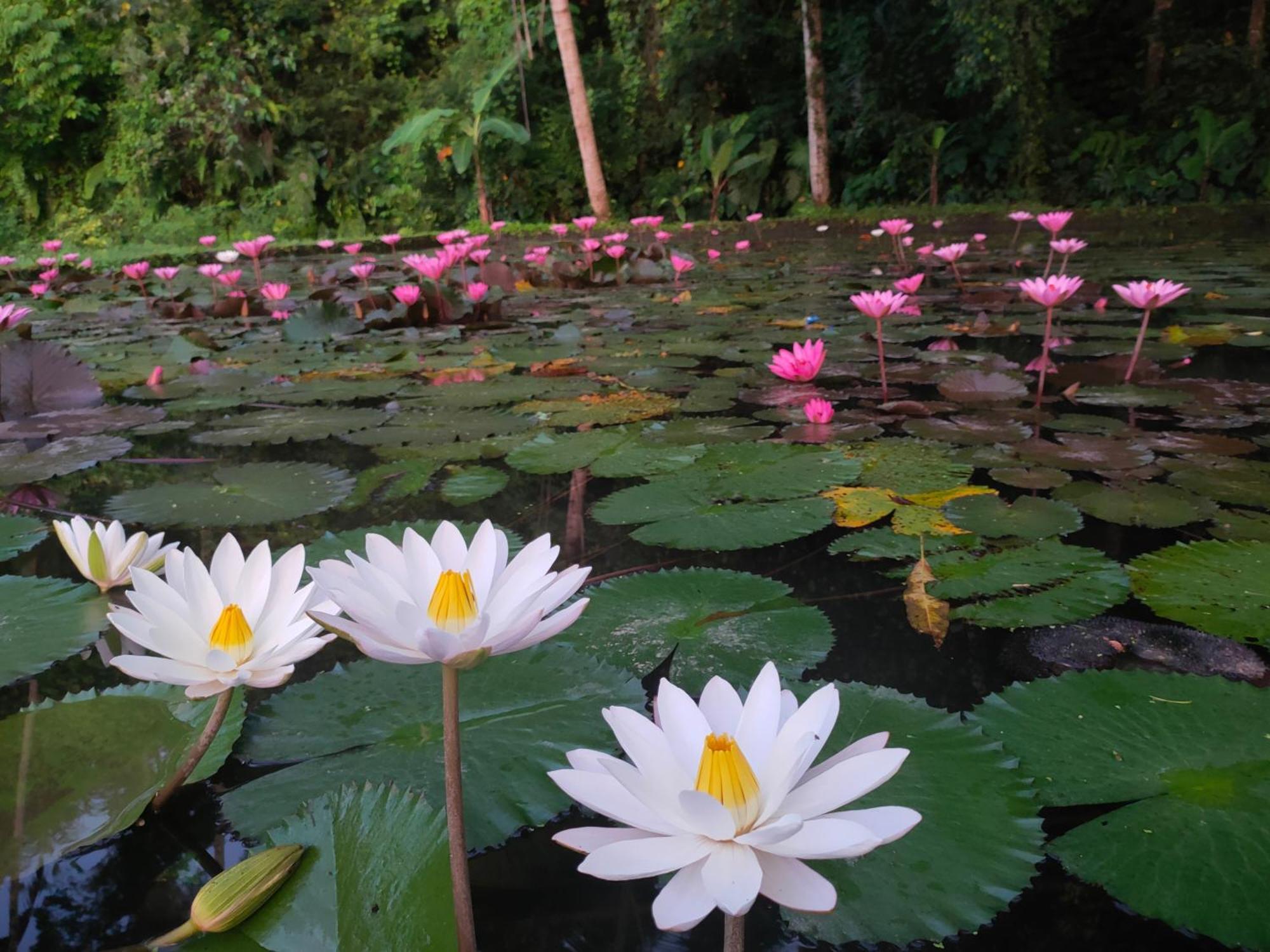 Villa Joglo Tepi Sungai Sidemen  Esterno foto