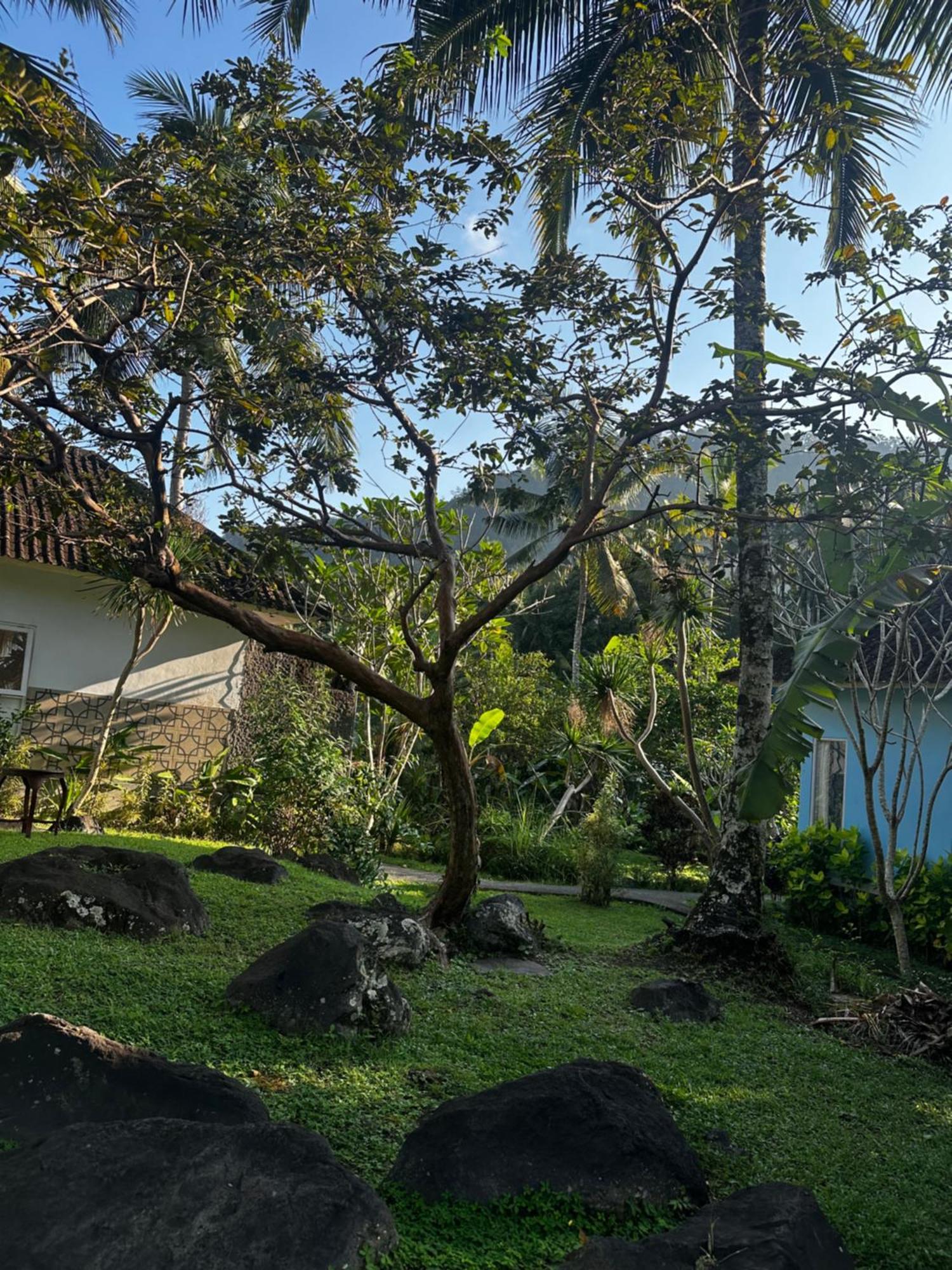Villa Joglo Tepi Sungai Sidemen  Esterno foto